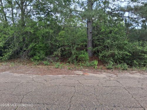 0 A B Ladner Dr, Lumberton, MS, 39455 | Card Image