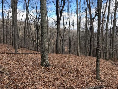 35 Dogwood Ln, MONTEREY, VA, 24465 | Card Image