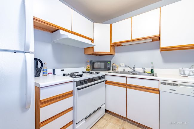APT-1108-9 - 2901 S Michigan Ave, Condo with 2 bedrooms, 2 bathrooms and null parking in Chicago IL | Image 11