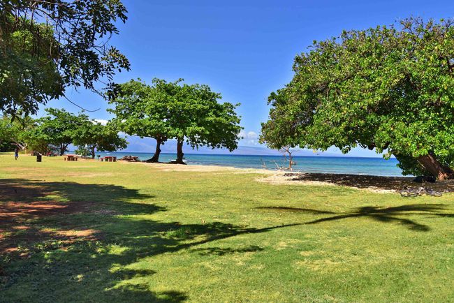 APT-110 - 3691 Lower Honoapiilani Rd, Condo with 1 bedrooms, 1 bathrooms and null parking in Lahaina HI | Image 36