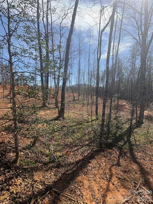 21-TBD Avenida De Oro Road, Morganton, NC, 28655 | Card Image