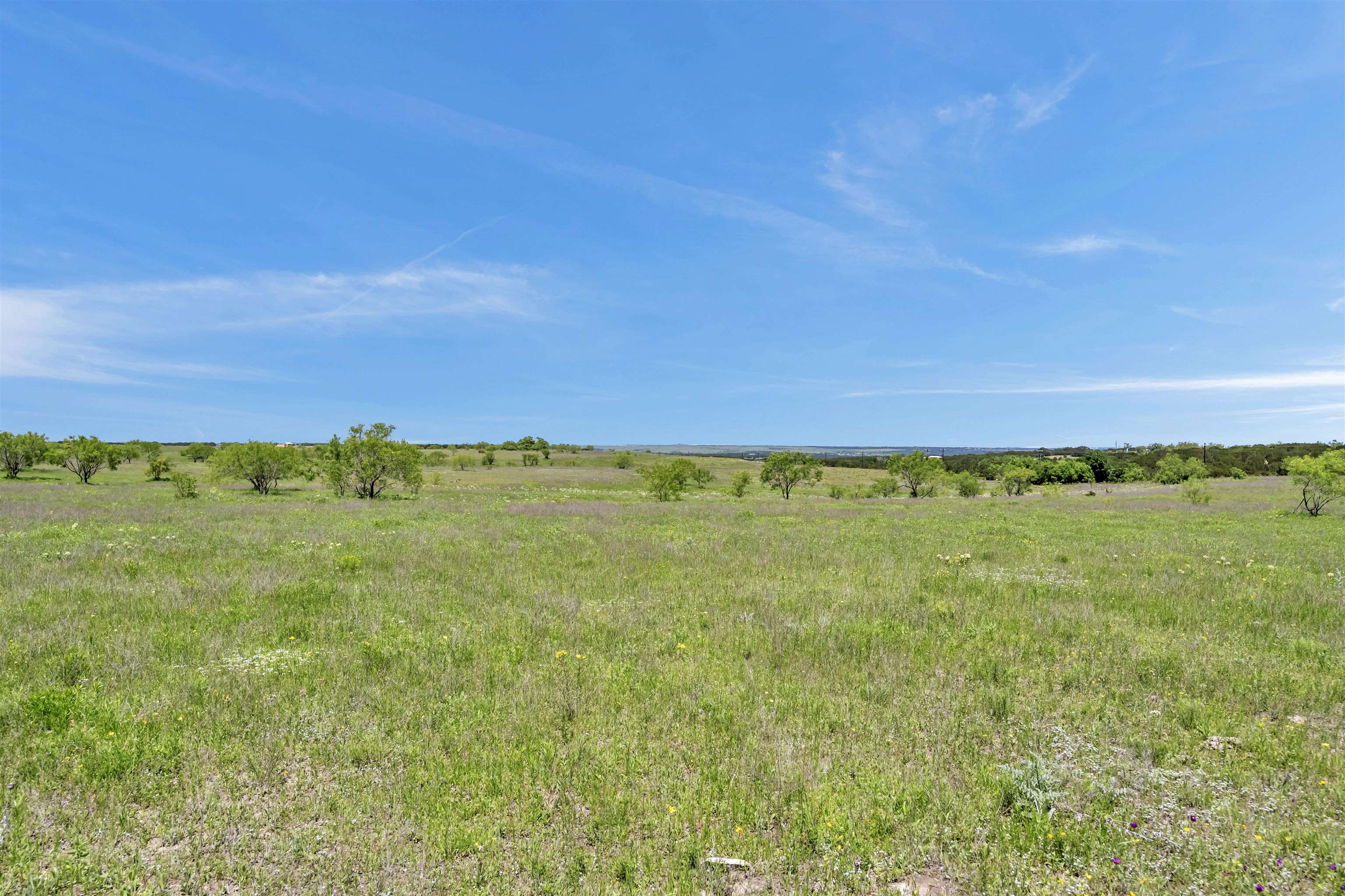 Farm in Burnet 5