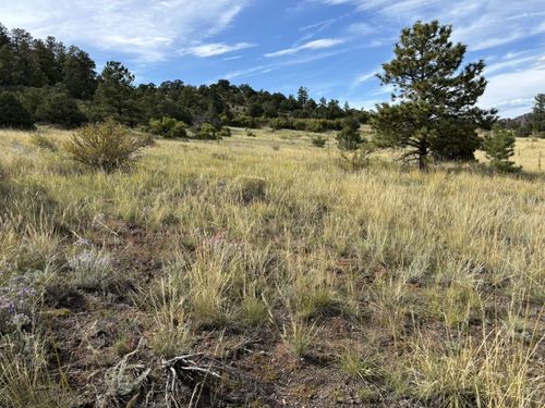 TBD Little Horn Rd, Westcliffe, CO, 81252 | Card Image