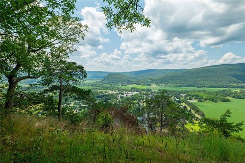 L16 Mt Path, Middleburgh, NY, 12122 | Card Image