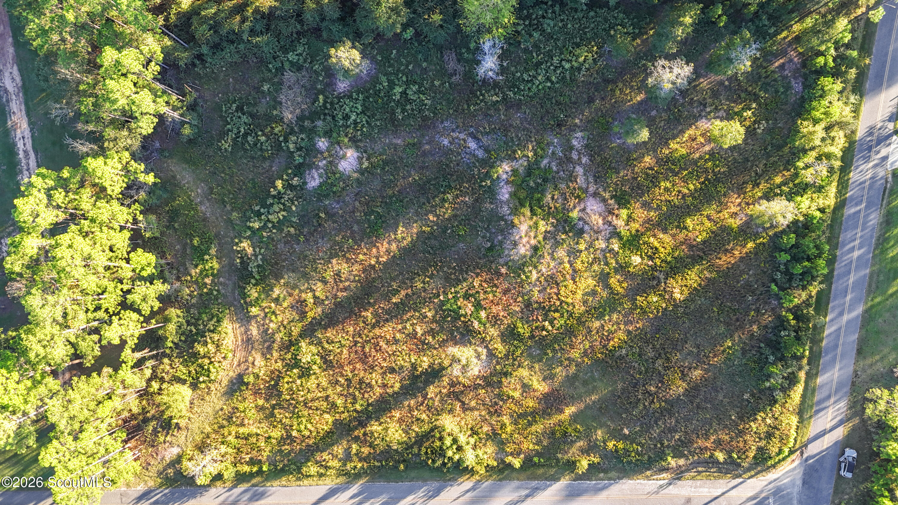 Land in Jesup 4