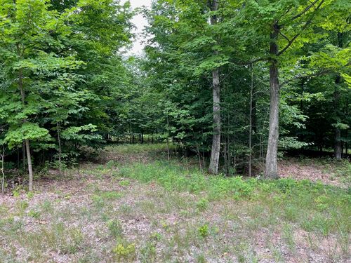 11 W Timber View Trail, Empire Township, MI, 49630 | Card Image