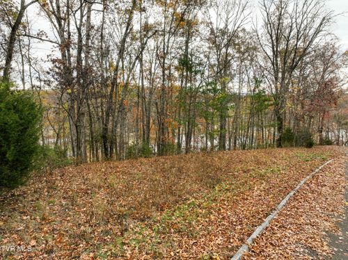 121 Pointe Dr, Piney Flats, TN, 37686-3808 | Card Image