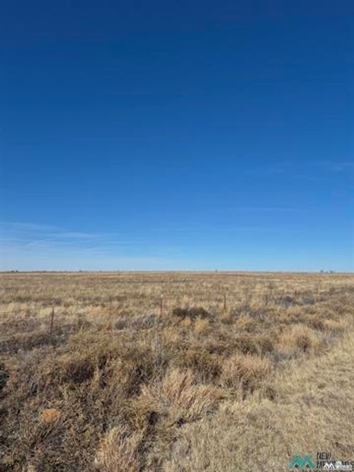 5950 206 Highway, Pep, NM, 88126 | Card Image