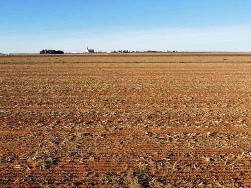 6655 Tiger Rd, Ropesville, TX, 79358-5403 | Card Image