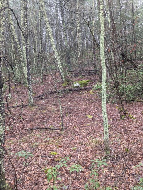 97 Otens Rd, Ellenville, NY, 12428-5203 | Card Image