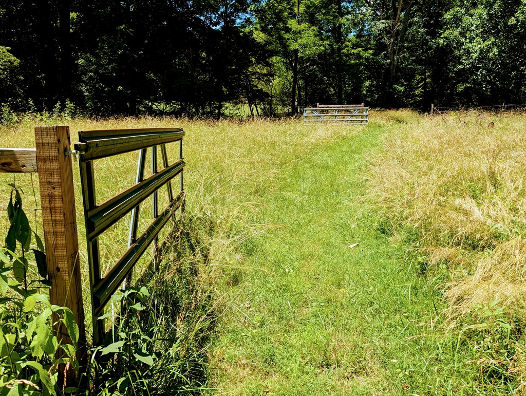 Residential in Hayesville 2