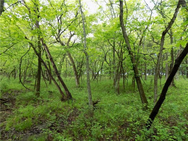 1267 Rock Creek Rd, Home with 0 bedrooms, 0 bathrooms and null parking in Williamsburg KS | Image 14