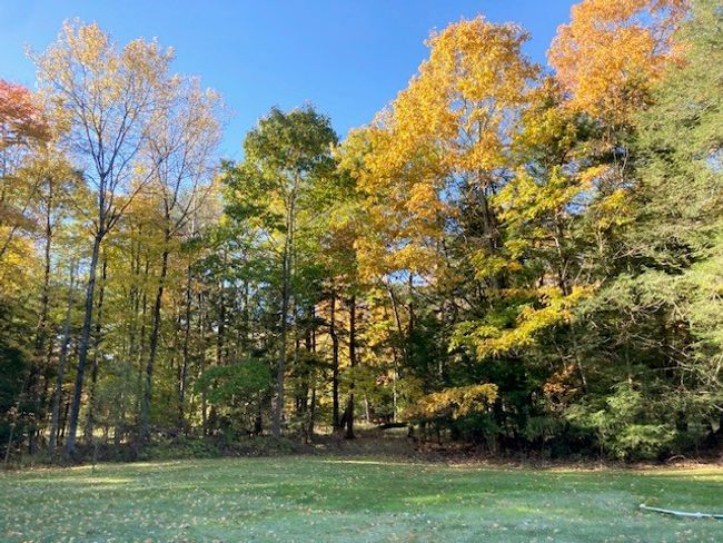 9840 Route 36, House other with 3 bedrooms, 3 bathrooms and 2 parking in Sigel PA | Image 31