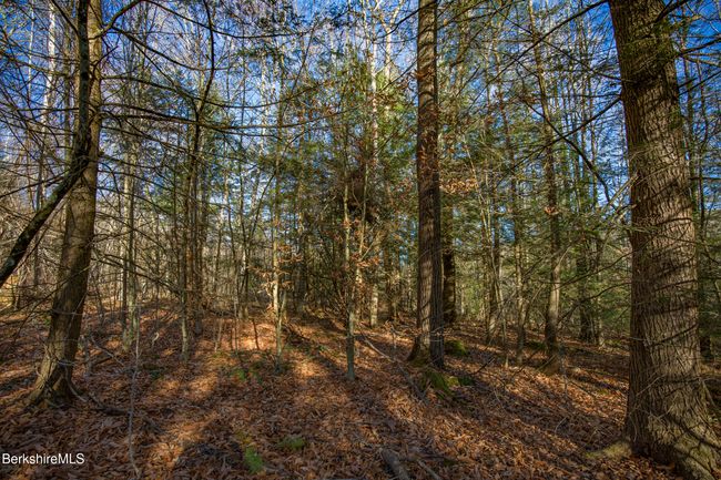 0 Goose Pond Rd, Home with 0 bedrooms, 0 bathrooms and null parking in Tyringham MA | Image 11