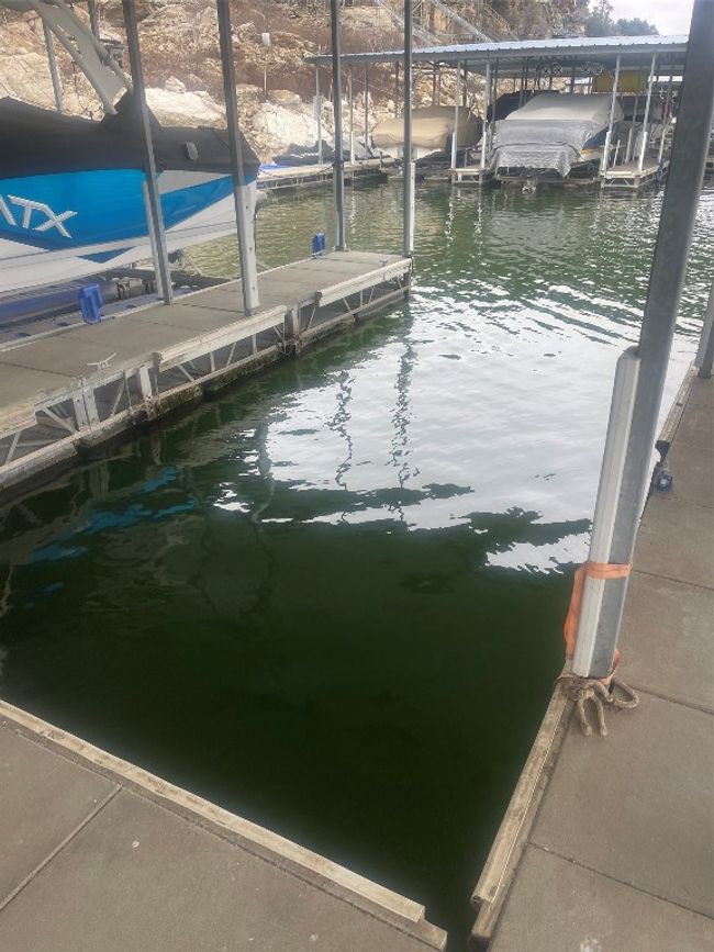 Boat Slip | Image 17