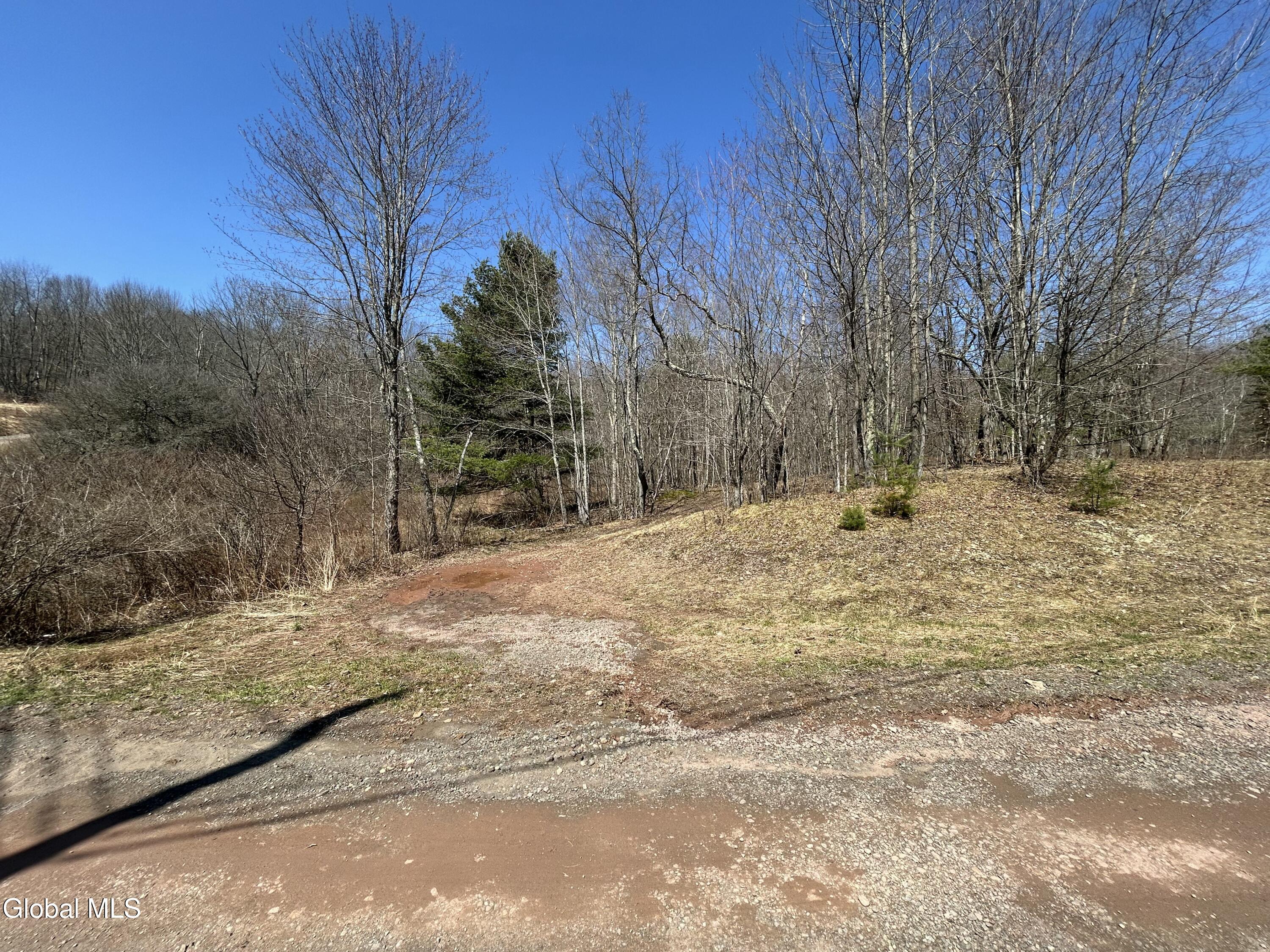 Land in Jefferson 5