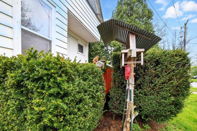 51-web-or-mls-IMG_5799 Falon McCormick_w | Image 52