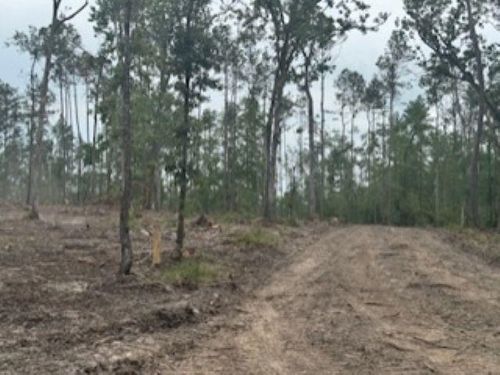 3870 tract 1 W Cr 2590, Chester, TX, 75936 | Card Image