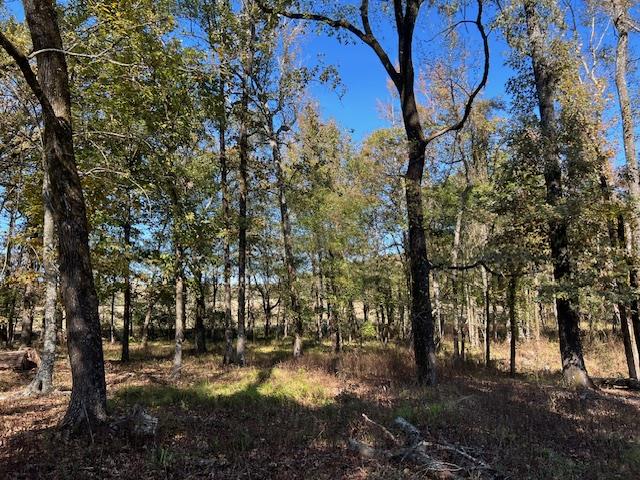 Land in Broken Bow 5