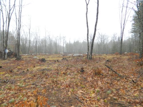 0 Owls Nest Road, Shapleigh, ME, 04076 | Card Image