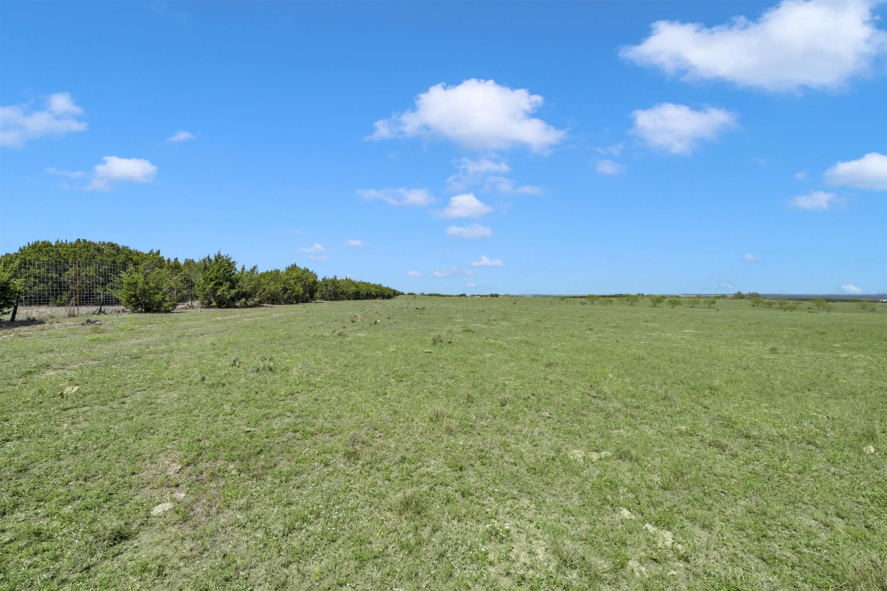 Farm in Burnet 3