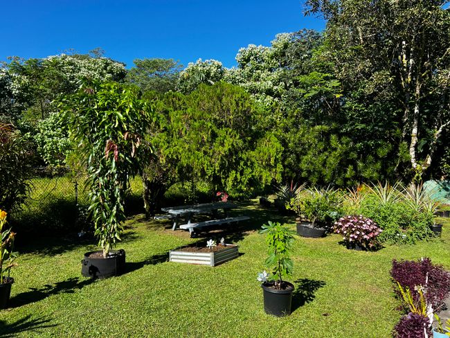 15-376 Puni Makai Loop S, House other with 3 bedrooms, 2 bathrooms and null parking in PAHOA HI | Image 28