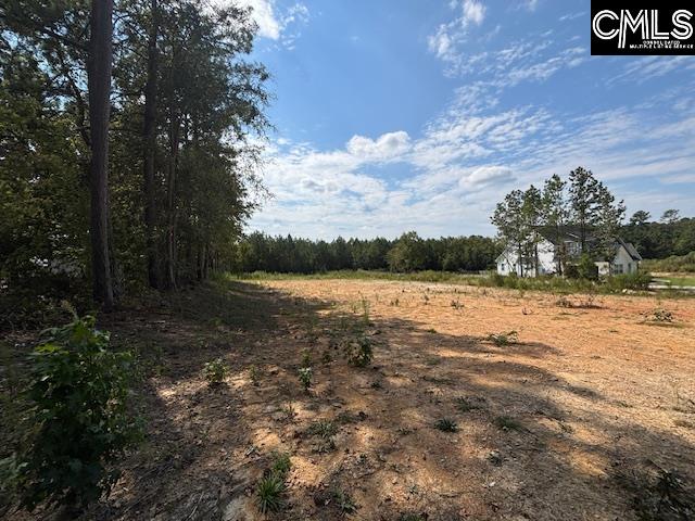 Land in Blythewood 4