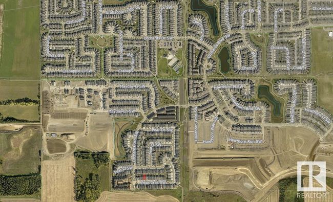 9468 Pear Cres Sw, House other with 3 bedrooms, 3 bathrooms and null parking in Edmonton AB | Image 40