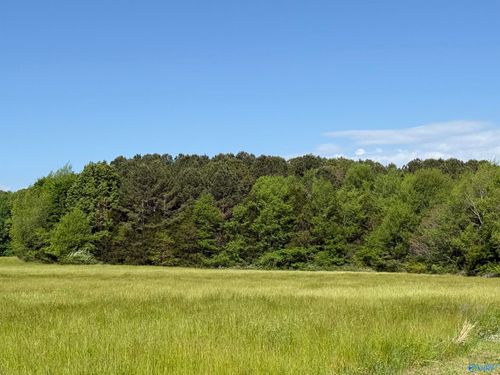 3 Acres Mount Lebanon Rd, Toney, AL, 35773 | Card Image