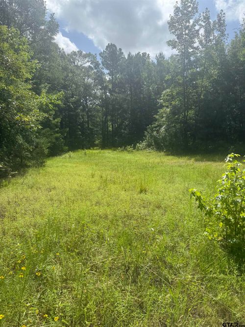 TBD County Road 2125, Rusk, TX, 75785 | Card Image