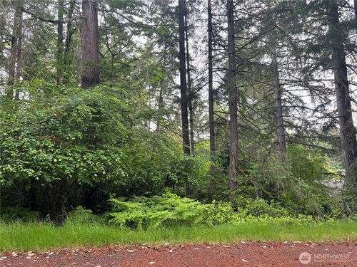 11111 Juniper Pl, Anderson Island, WA, 98303-9748 | Card Image