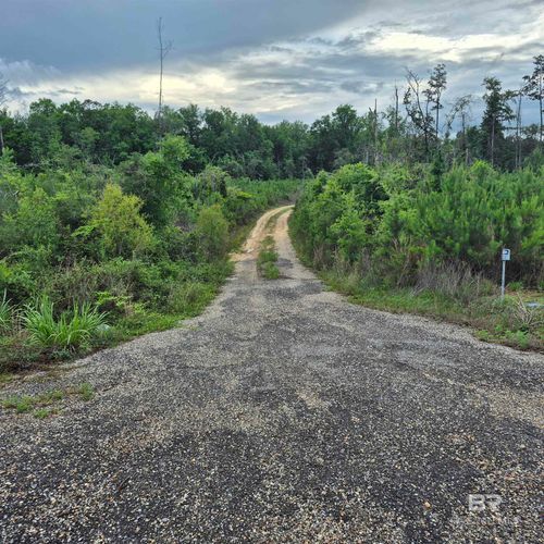 0 County Road 35, Evergreen, AL, 36401 | Card Image