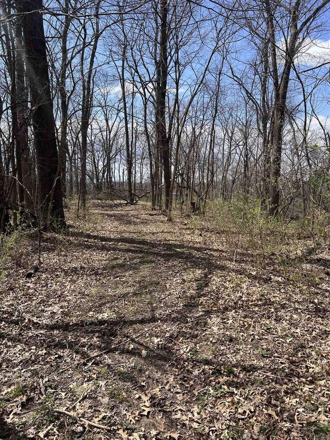 71 +/- Acres Scenic View Road, Home with 0 bedrooms, 0 bathrooms and null parking in Seneca WI | Image 24