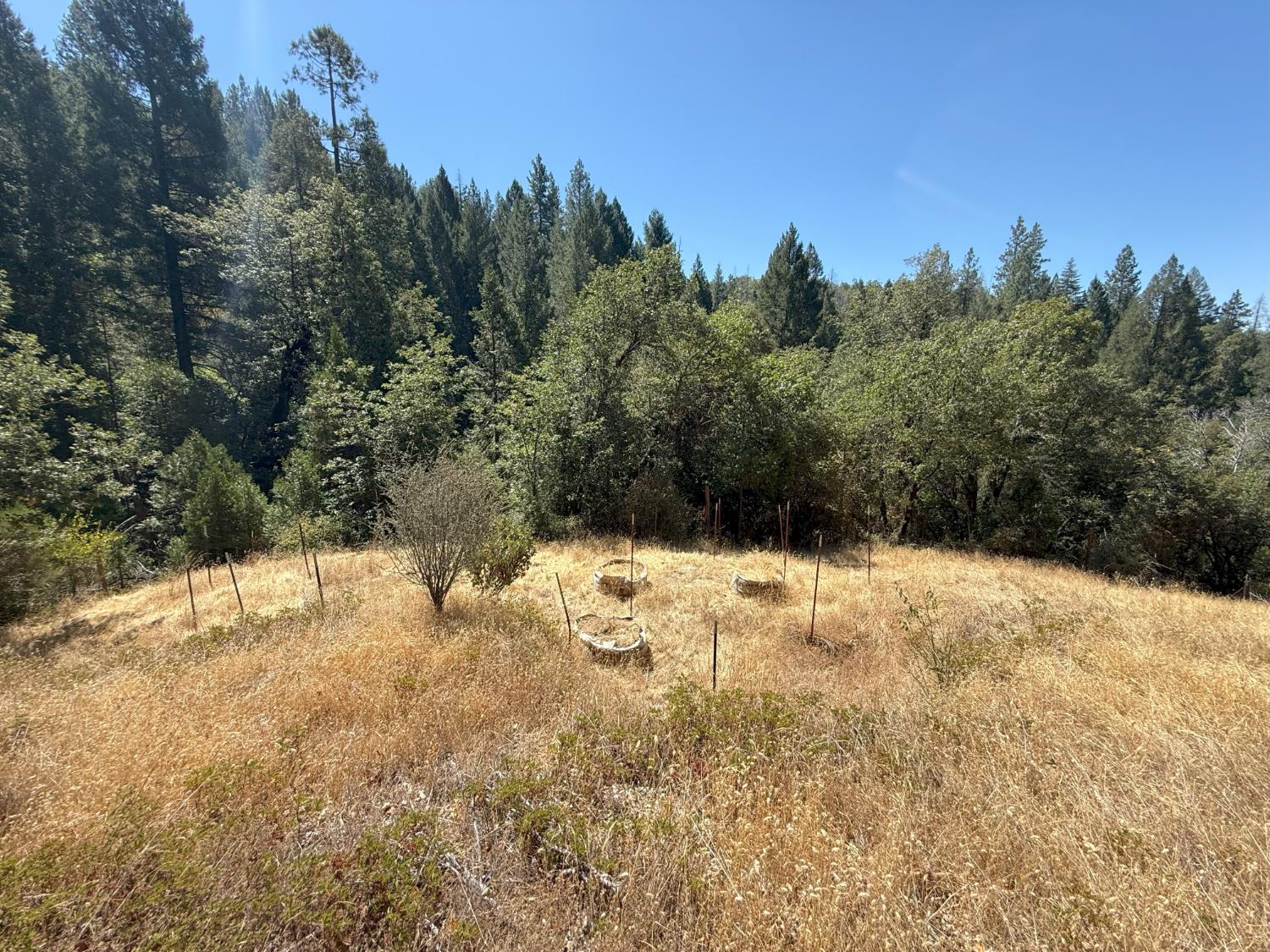 Land in Nevada City 5