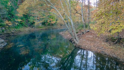 tbd Craig Creek Rd, Eagle Rock, VA, 24085 | Card Image