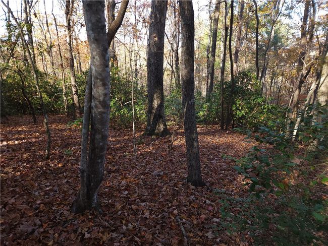 00 N Ridge Dr, Home with 0 bedrooms, 0 bathrooms and null parking in Travelers Rest SC | Image 5