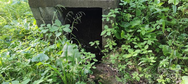 old spring box on property | Image 33