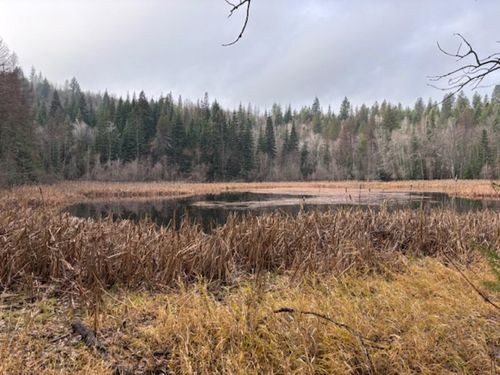 xx Bobier Rd N, Newport, WA, 99156 | Card Image