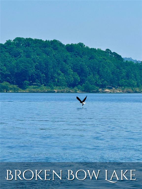 Land in Broken Bow 3