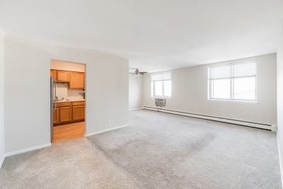 503 - 9745 S Karlov Avenue, Condo with 1 bedrooms, 1 bathrooms and 1 parking in Oak Lawn IL | Image 2