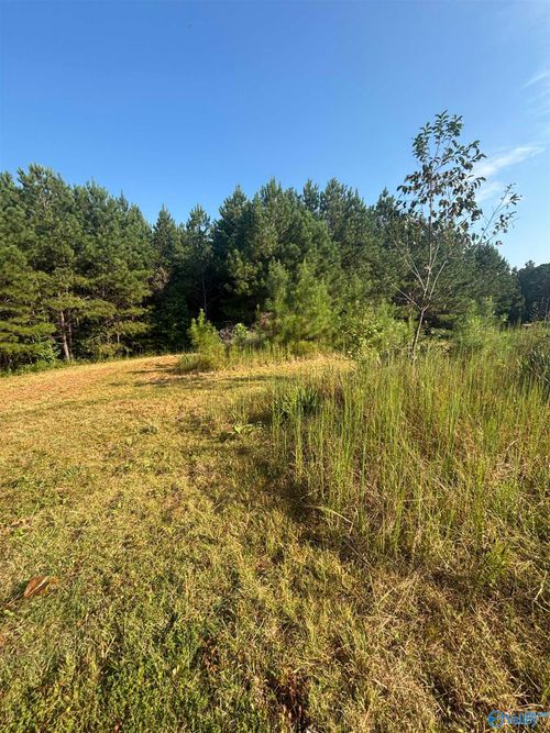 277 County Road 285, Muscadine, AL, 36269-3346 | Card Image