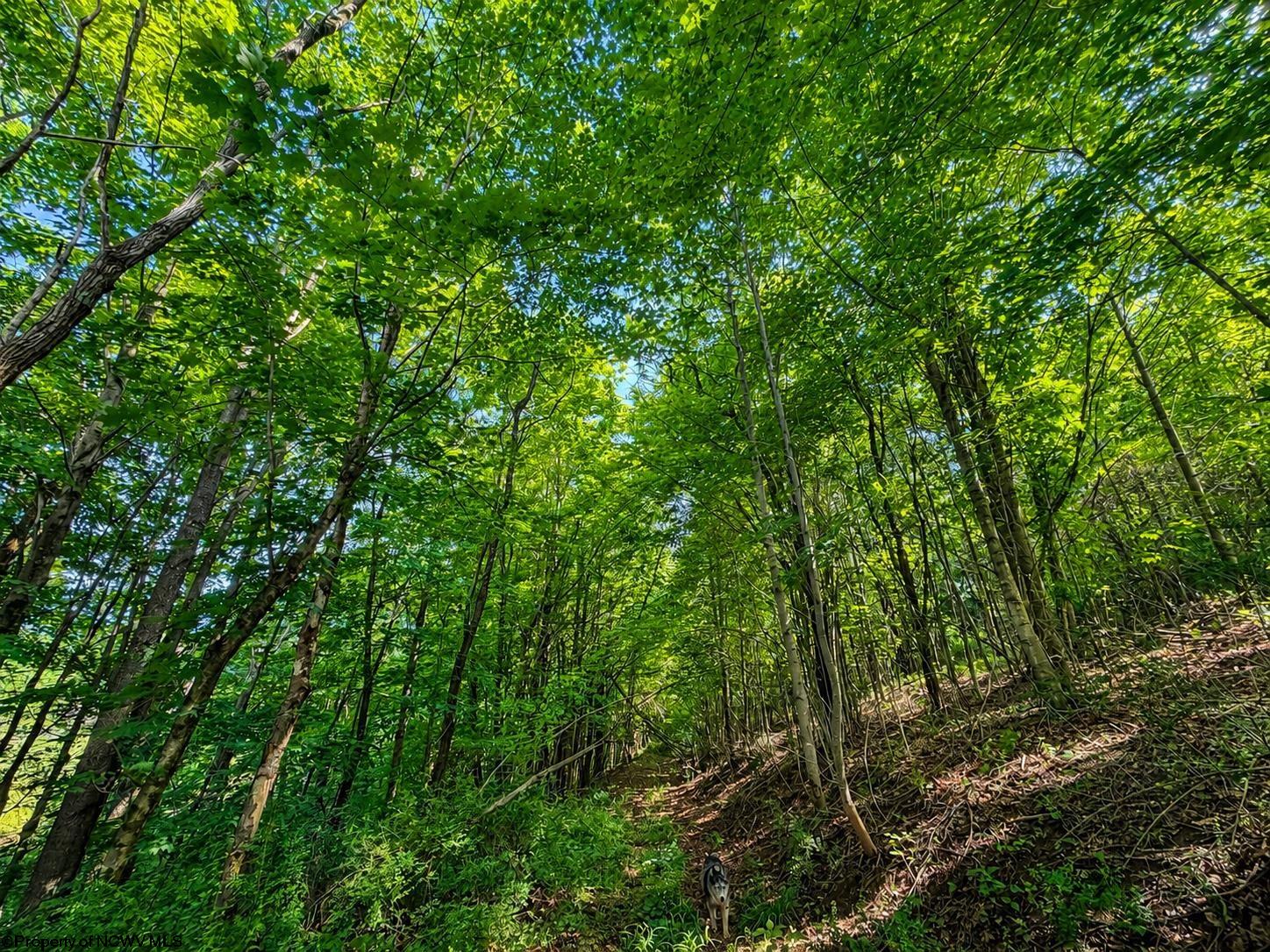 Land in Dryfork 4