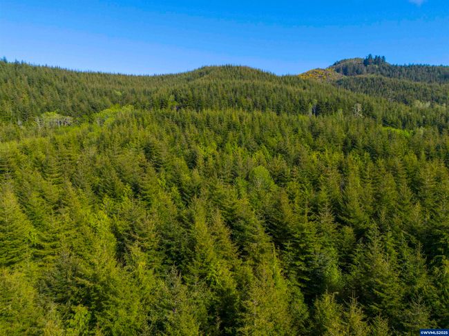 0 Elmer Miller Rd, Home with 0 bedrooms, 0 bathrooms and null parking in Siletz OR | Image 19