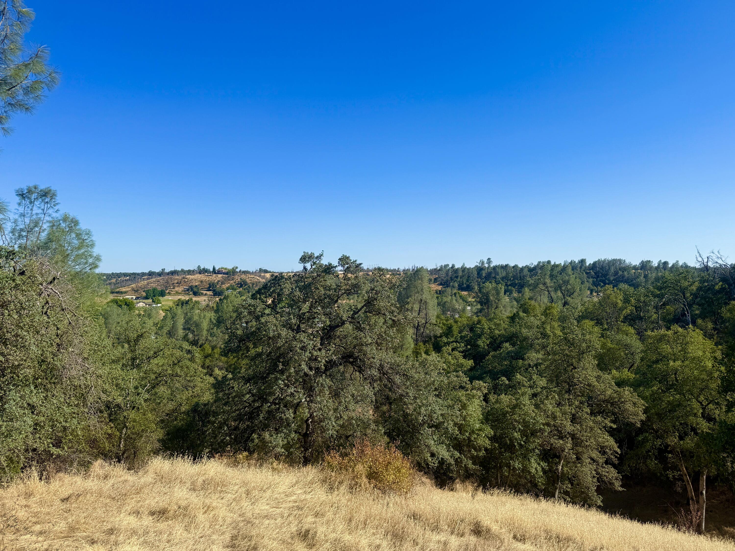 Land in Anderson 3