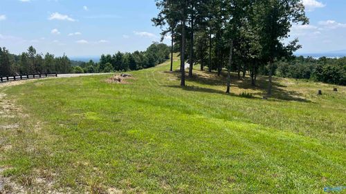 lot-52-Lot 52 County Road 767, Cedar Bluff, AL, 35959-3214 | Card Image