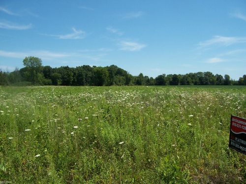 Lot E Calvin Rd, Memphis, MI, 48041 | Card Image