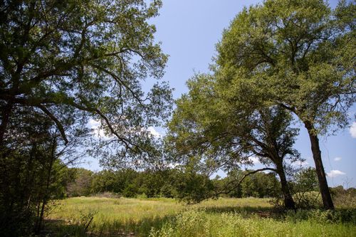 Lot 2 Rose Hill Rd, Calvert, TX, 77837 | Card Image