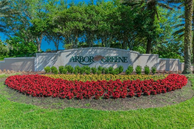 10203 Shadow Branch Dr, House other with 4 bedrooms, 3 bathrooms and null parking in TAMPA FL | Image 54