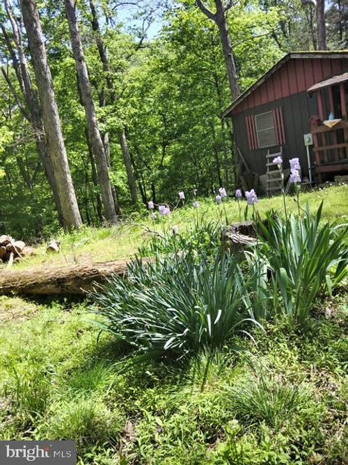 63 Capella Ct, GREAT CACAPON, WV, 25422 | Card Image