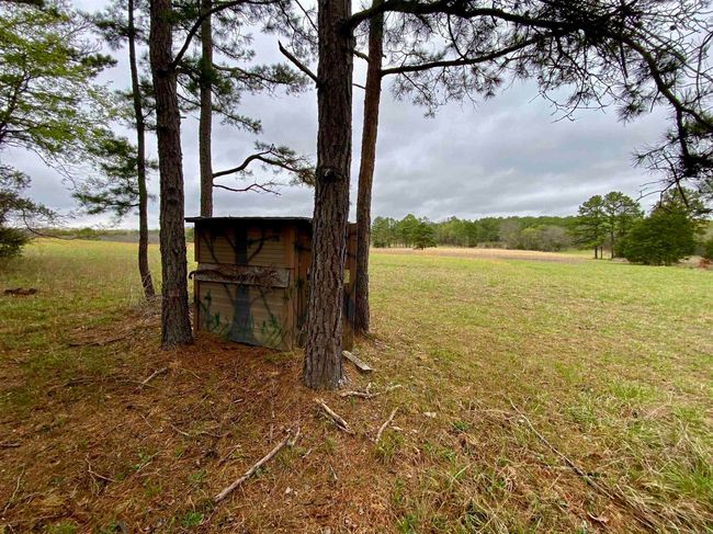 33 Collins Field Rd, Home with 3 bedrooms, 2 bathrooms and null parking in Mount Ida AR | Image 40